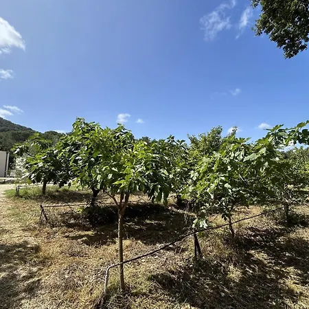 ホテル New 3-bedroom House With Swimming Pool サズ